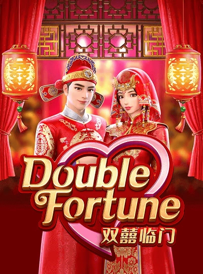Wild symbol video slot cover